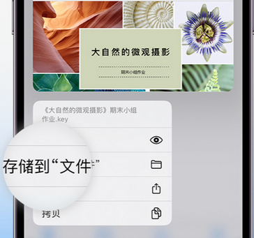 祁门apple维修中心分享iPhone文件应用中存储和找到下载文件