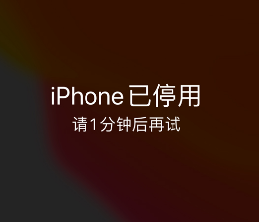 祁门苹果手机维修分享:iPhone 显示“不可用”或“已停用”怎么办？还能保留数据吗？ 