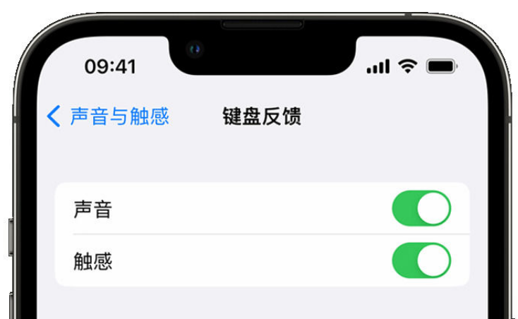 祁门苹果手机维修分享iPhone 14触感键盘使用方法 