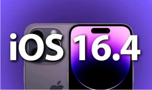 祁门苹果14维修分享：iPhone14可以升级iOS16.4beta2吗？ 