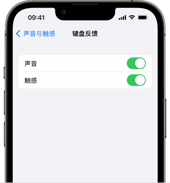 祁门苹果14维修店分享如何在 iPhone 14 机型中使用触感键盘 