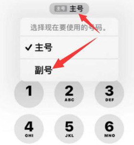 祁门苹果14维修店分享iPhone 14 Pro Max使用副卡打电话的方法 