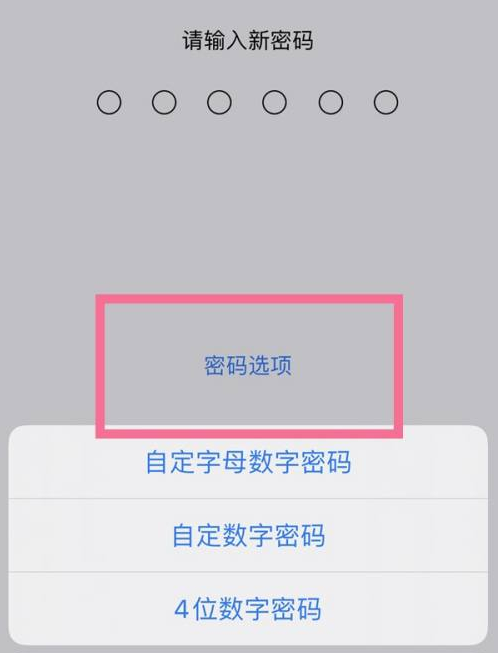 祁门苹果14维修分享iPhone 14plus设置密码的方法 