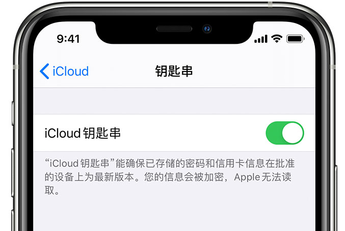 祁门苹果手机维修分享在 iPhone 上开启 iCloud 钥匙串之后会储存哪些信息 