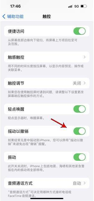 祁门苹果手机维修分享iPhone手机如何设置摇一摇删除文字 