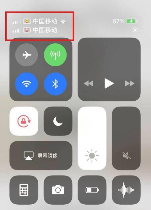 祁门苹果手机维修分享为 iPhone 12 双卡设置标签 